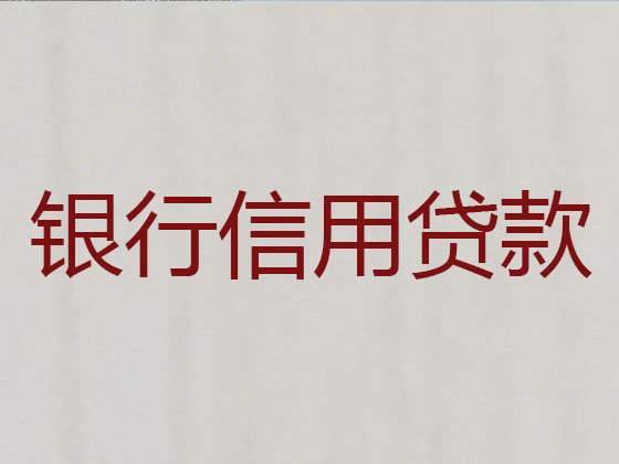 应城市贷款公司-银行信用贷款